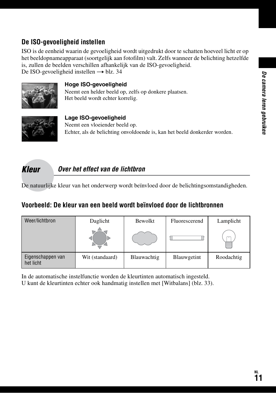 Kleur, Over het effect van de lichtbron | Sony DSC-W50 Benutzerhandbuch | Seite 117 / 215